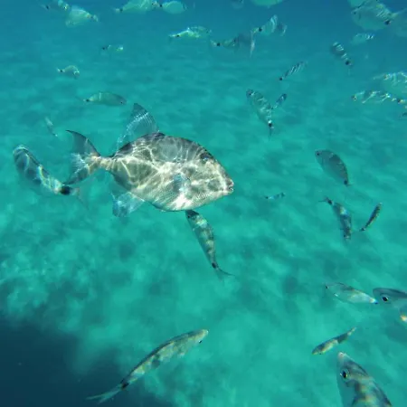 Villa Dell'arte Vista Mare Villasimius
