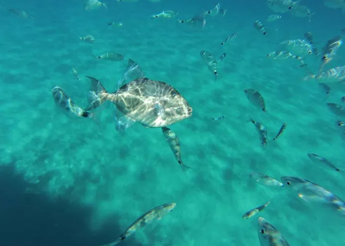 빌라 Dell'arte Vista Mare 빌라시미우스