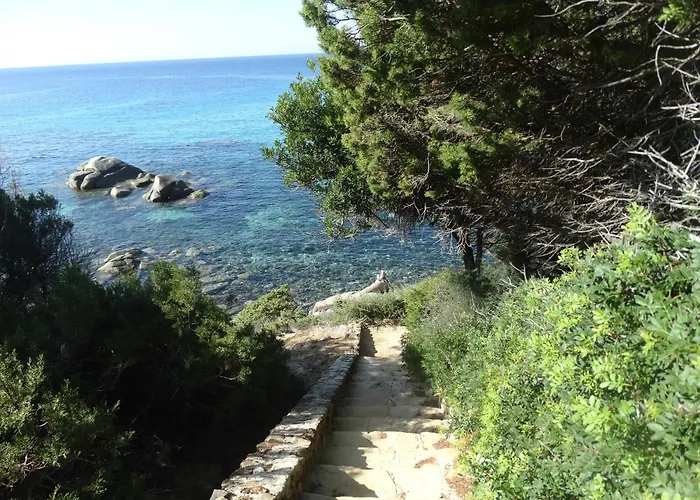 Dell'arte Vista Mare